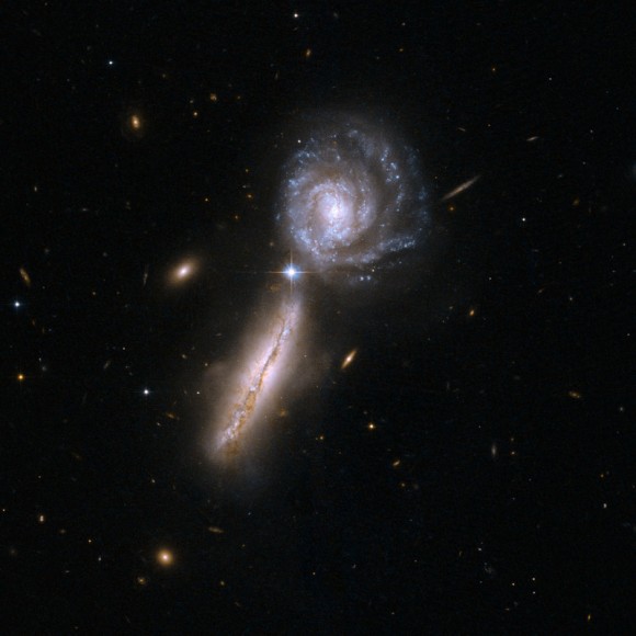 Click to enlarge Arp 302