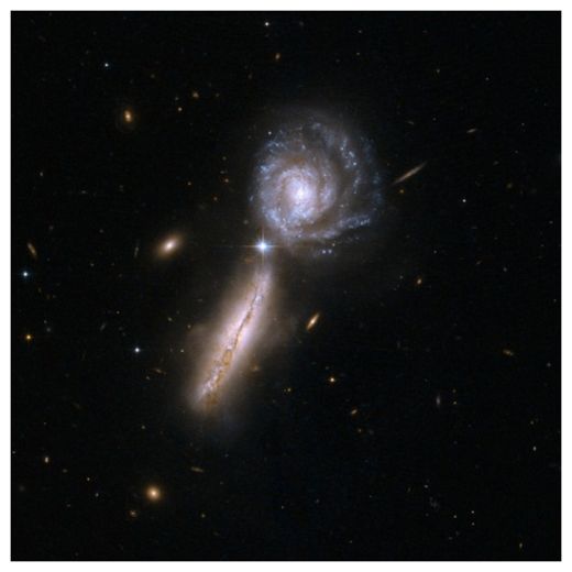 Click to enlarge Arp 302