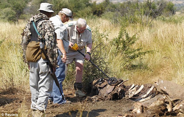 Elephant Massacre_1