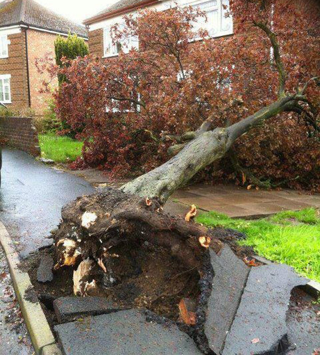 Rugby tornado