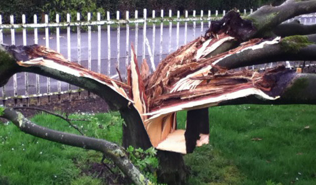 Click to enlarge Rugby tornado