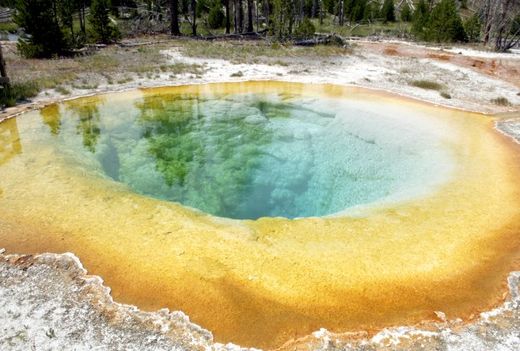 Yellowstone Volcano