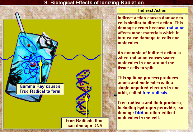 radiation effects 3