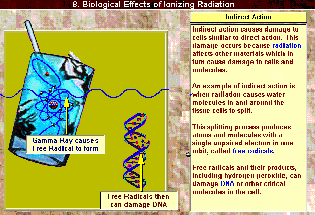 Click to enlarge radiation effects 3