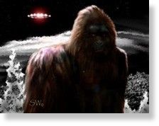 Bigfoot and ufo