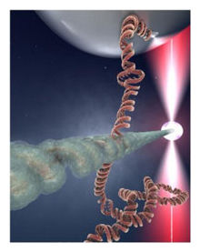 Click to enlarge DNA Repair