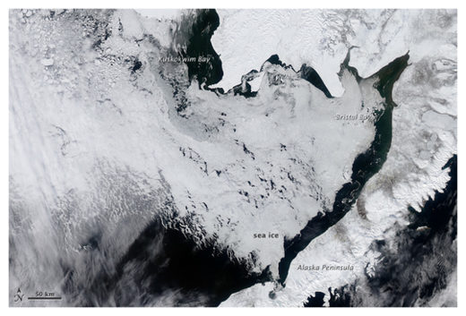 Bering Sea Ice Covered
