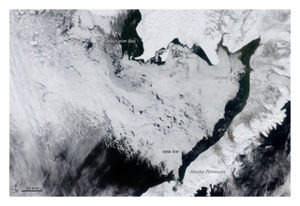 Bering Sea Ice Covered