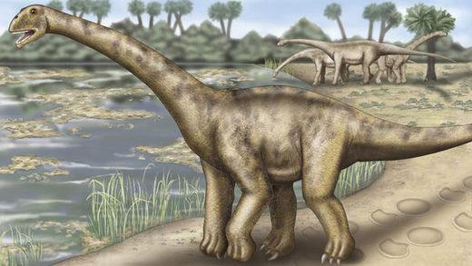 Click to enlarge dinosaurs