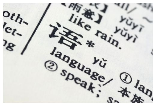 Dual Language