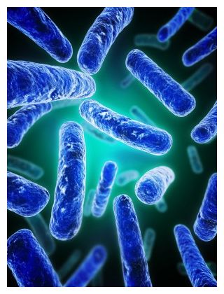 Probiotics
