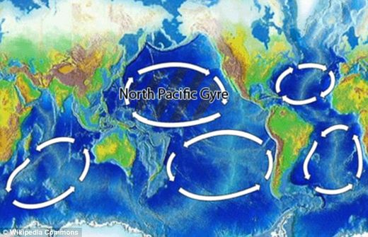 Pacific Gyre