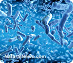 Click to enlarge Bacteria