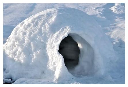Igloo