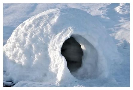 Igloo