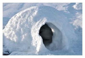 Click to enlarge Igloo