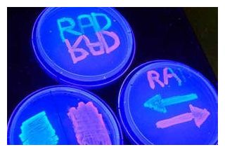 DNA Storage