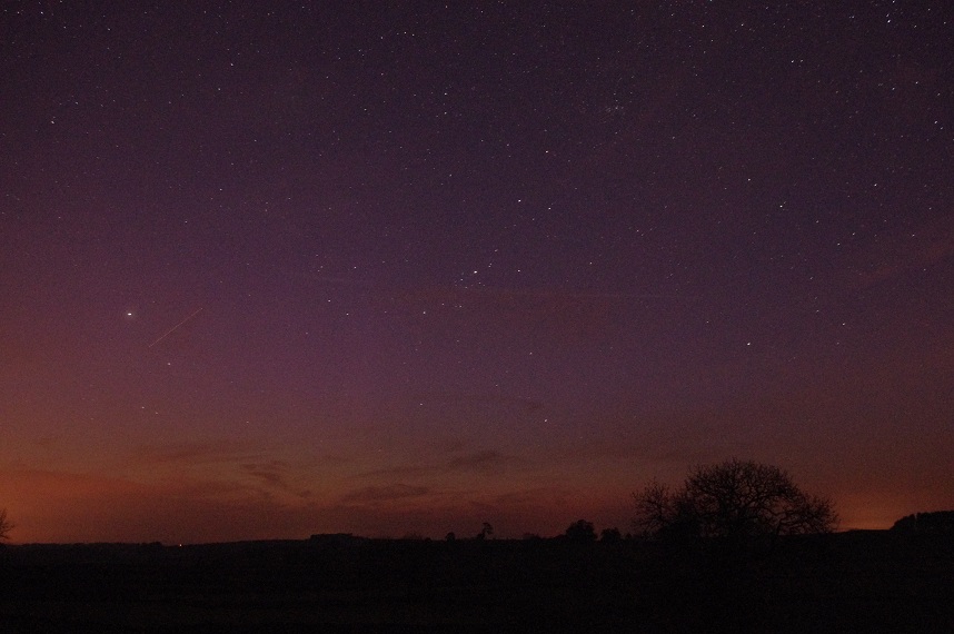 Purple Skies