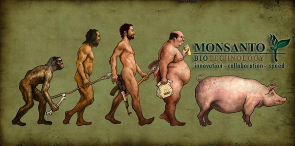 Click to enlarge GMO