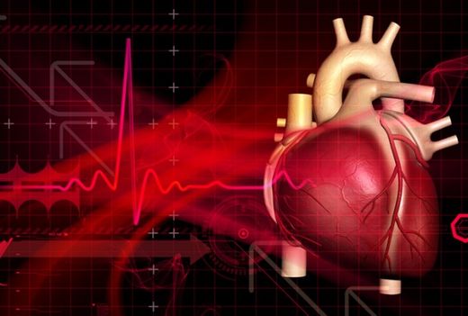 Click to enlarge Heart
