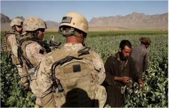 soldiers in poppy field