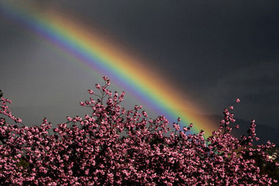 Rainbow in the dark
