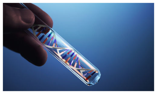 DNA in TestTube
