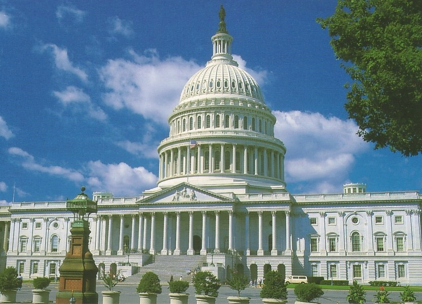 Click to enlarge Government