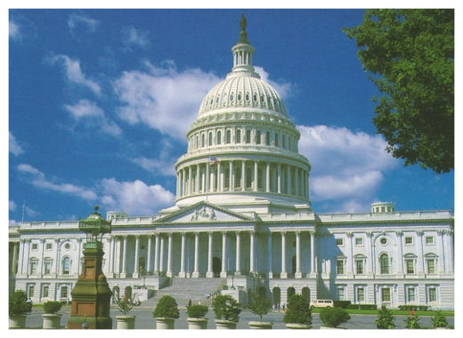 Click to enlarge Government