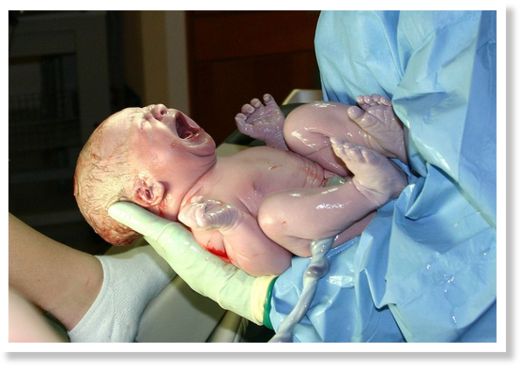 human baby