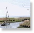 Mersey River ufo
