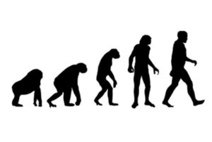 Evolution