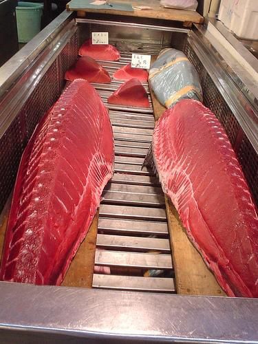tuna
