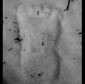 Big foot