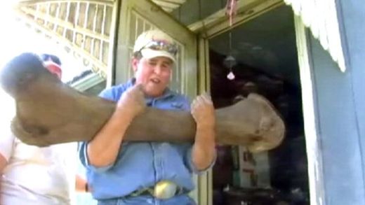  Mammoth Bones