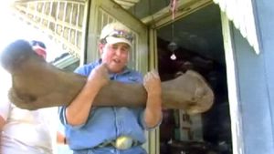  Mammoth Bones