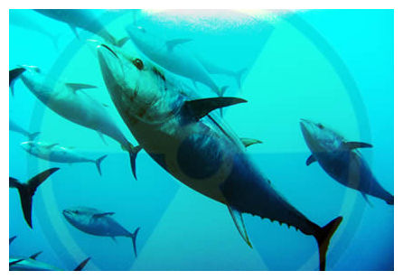 Tuna