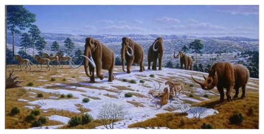 Mammoths 