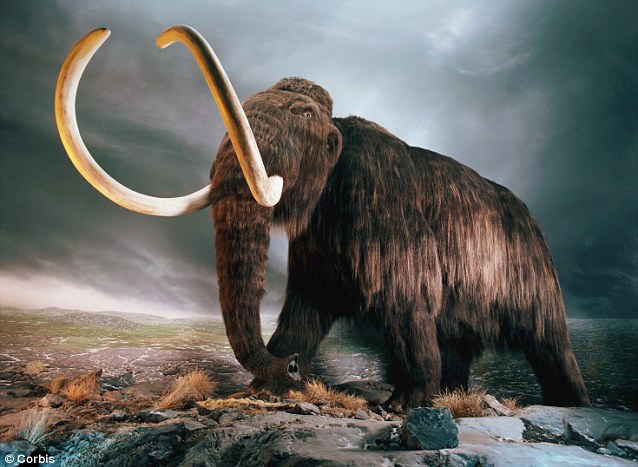 Click to enlarge woolly mammoth