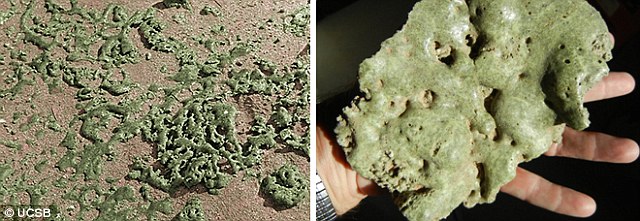 Click to enlarge trinitite on rock