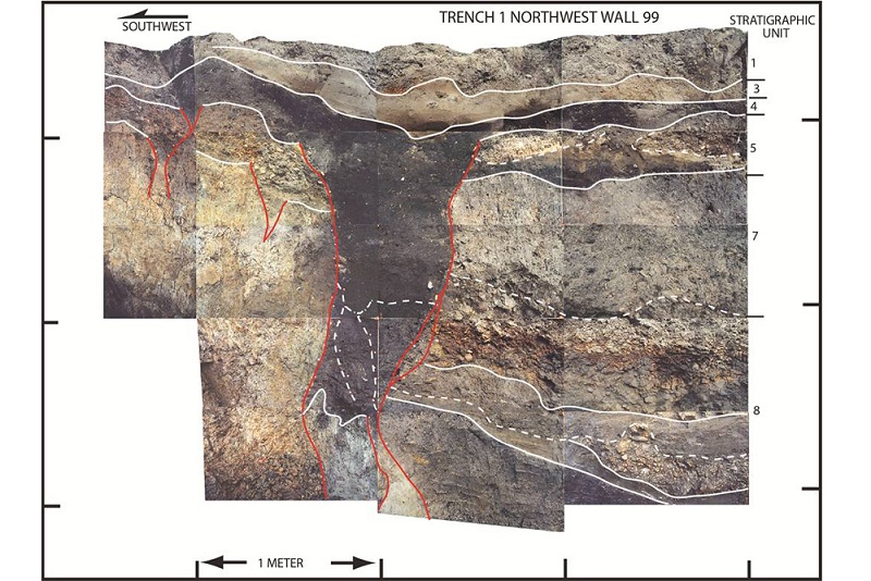 Fault Lines