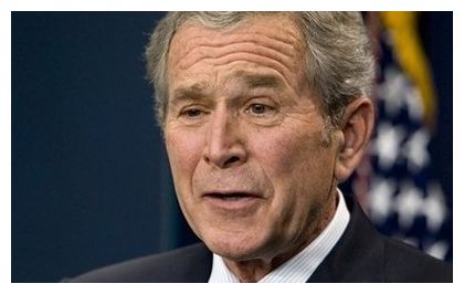 Bush