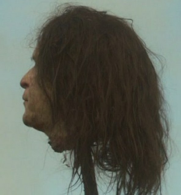 Bush Head on Spike