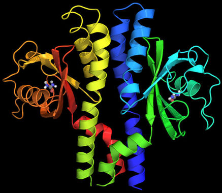 Click to enlarge Image