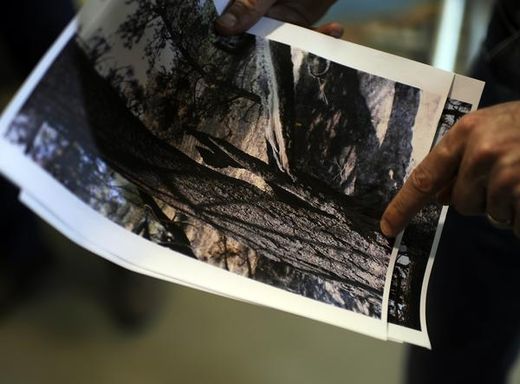 Gov. John Hickenlooper shows a photo of the tree hit by lightning that started the High Park Fire. 