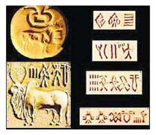 Ancient DNA