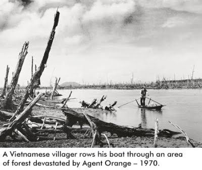 Click to enlarge VietNam agent orange
