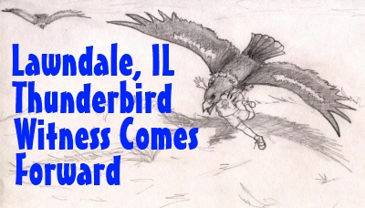 Thunderbird illustation