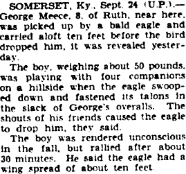 Thunderbird newspaper clipping