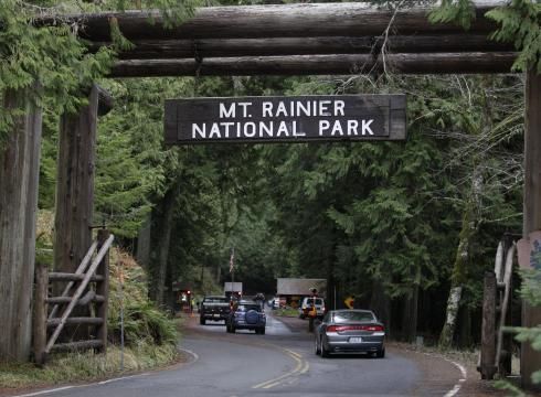 Click to enlarge Rainer